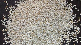 食品有限公司 刘总 食品有限公司 刘总