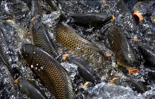 wKhQvFMeXOSEcSSoAAAAAAID_s4605