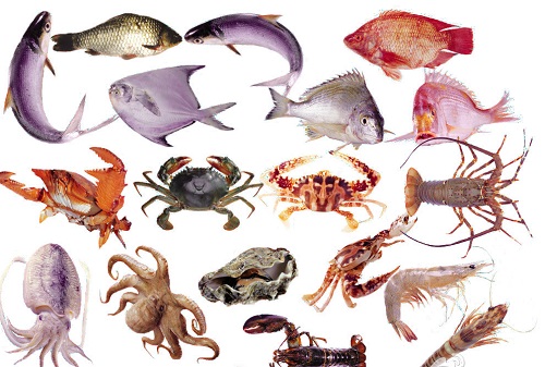 青岛进口代理 青岛进口代理