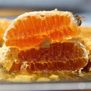 蜂蜜进口报关公司 蜂蜜进口报关公司