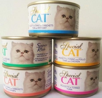 青岛宠物食品进口报关公司