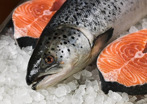 青岛冰鲜三文鱼进口清关 青岛冰鲜三文鱼进口清关