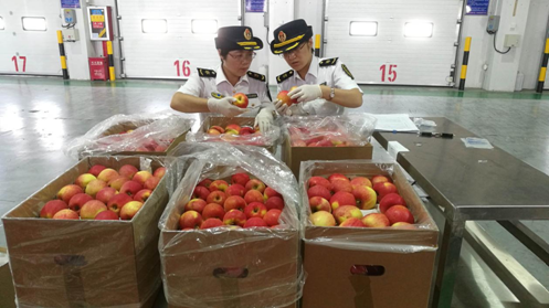波兰苹果进口清关