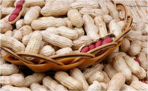 青岛港花生进口清关