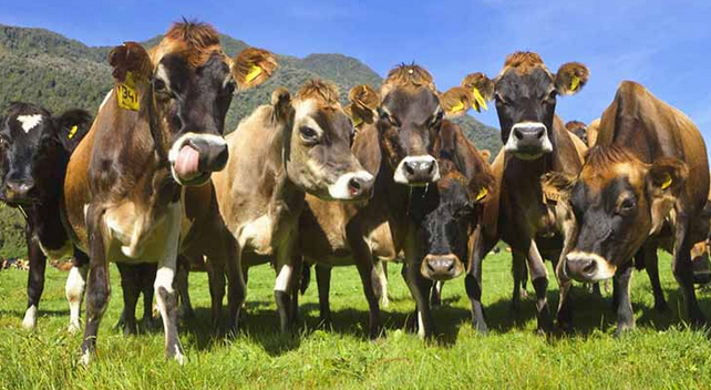 418fac63-d5ed-4bda-8041-8dedcfdf0580