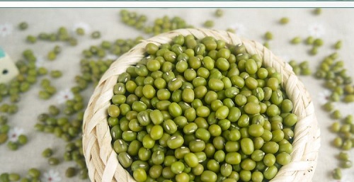 天津港绿豆进口代理公司