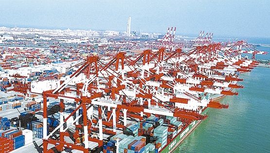 青岛港进出口报关清关代理