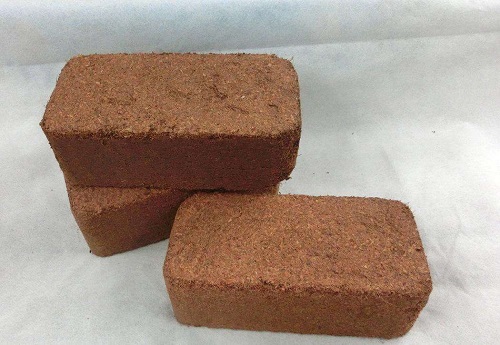 进口椰糠报关代理 进口椰糠报关代理