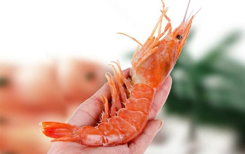 青岛港冷冻海鲜进口报关代理 青岛港冷冻海鲜进口报关代理