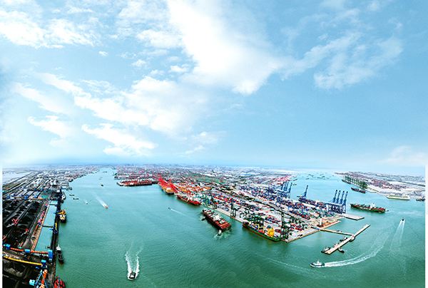 天津港进出口报关报检