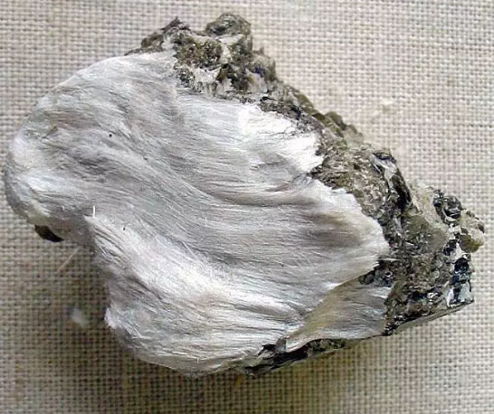 青岛进出口代理公司