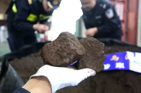 青岛进出口代理报关公司