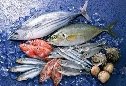 青岛港印尼巴沙鱼进口代理公司