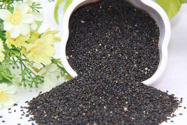 青岛芝麻进口代理公司