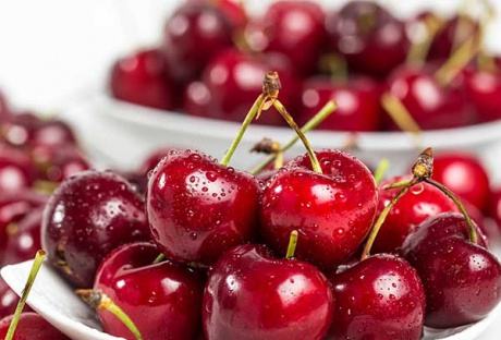 车厘子进口报关代理