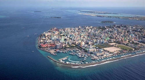 进出口贸易代理