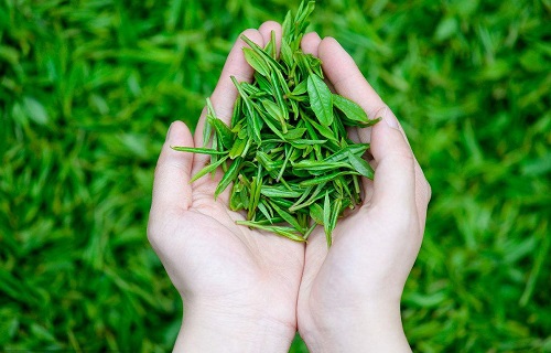 俄罗斯农产品进口报关