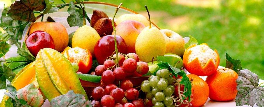 水果进口报关代理公司