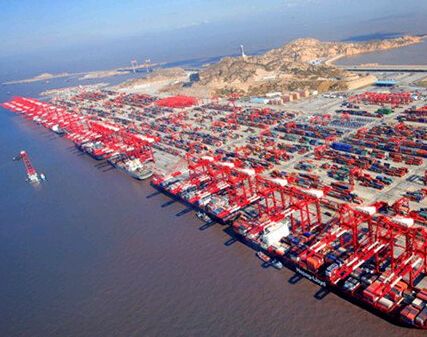 棕榈油进口报关代理 棕榈油进口报关代理