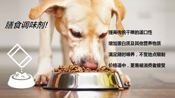 青岛宠物食品进口代理