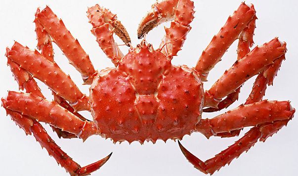 美国帝王蟹进口报关代理