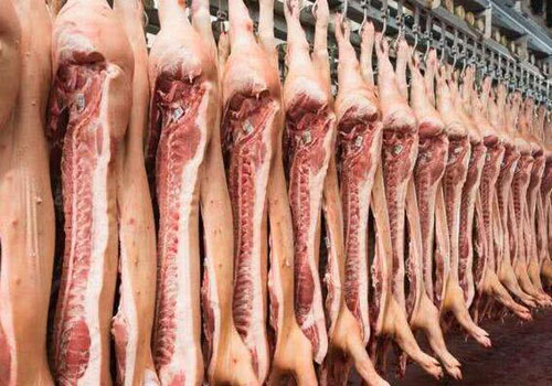 德国猪肉进口报关代理