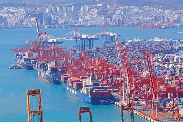 青岛代理报关公司 青岛代理报关公司