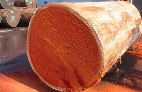 非洲花梨进口报关公司 非洲花梨进口报关公司