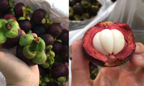 青岛山竹进口报关公司 青岛山竹进口报关公司