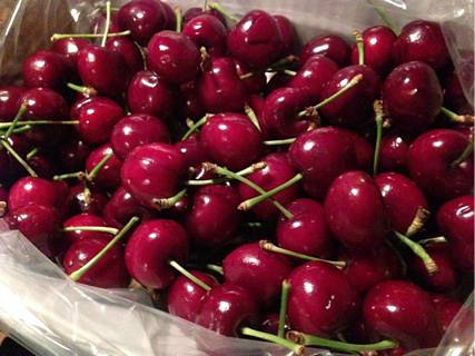 樱桃进口报关代理