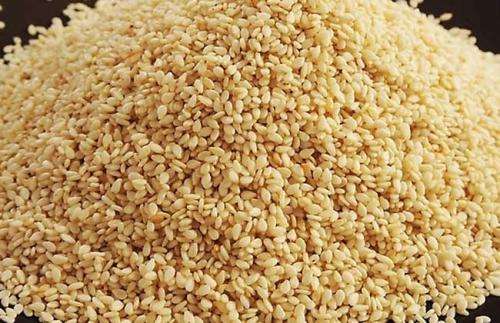 青岛芝麻进口清关代理 青岛芝麻进口清关代理