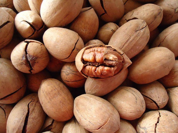 天津碧根果进口报关代理