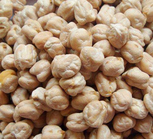 青岛鹰嘴豆进口报关代理