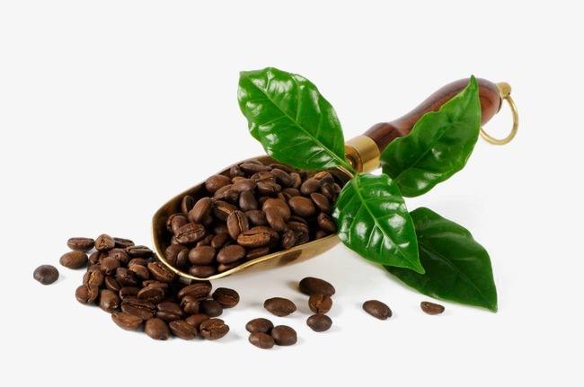 咖啡豆进口