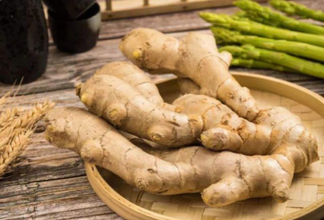 生姜 (3) 生姜 (3)