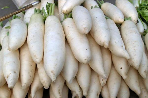 白萝卜 白萝卜