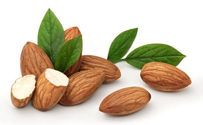 杏仁 (2)