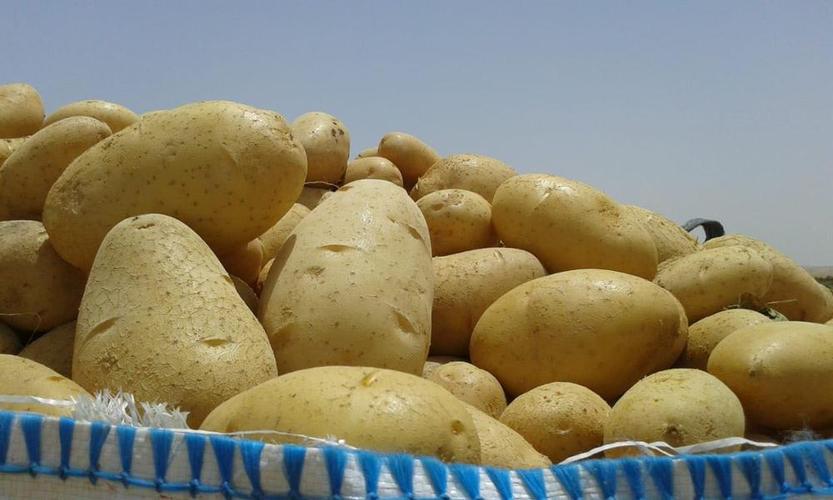 土豆 (2) 土豆 (2)