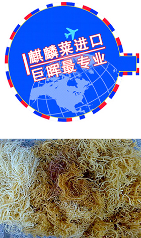 麒麟菜代理进口